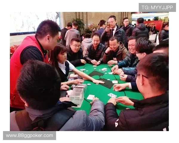 PA百家乐：娱乐与策略的完美结合